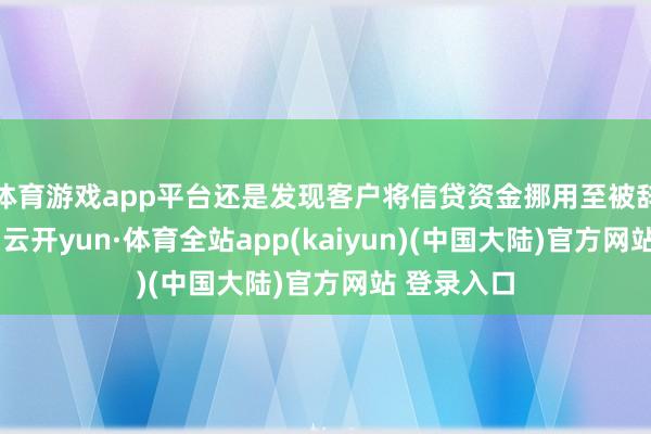 体育游戏app平台还是发现客户将信贷资金挪用至被辞谢的限制-云开yun·体育全站app(kaiyun)(中国大陆)官方网站 登录入口